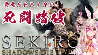 【SEKIRO】貴方に贈るバレンタイン血ョコ！【荒野の長侍】