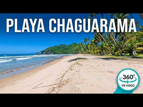 Playa Chaguarama de Sotillo, Península de Paria | 360° Venezuela Estado Sucre