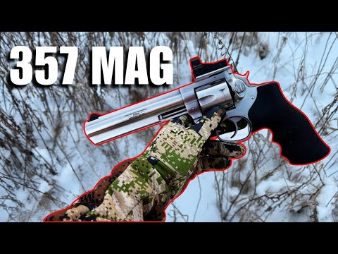 Ho cacciato il cervo dalla coda bianca con un revolver | Ecco perché