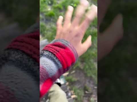 Mark Devlin - Pinky Promise - Misc Originals
