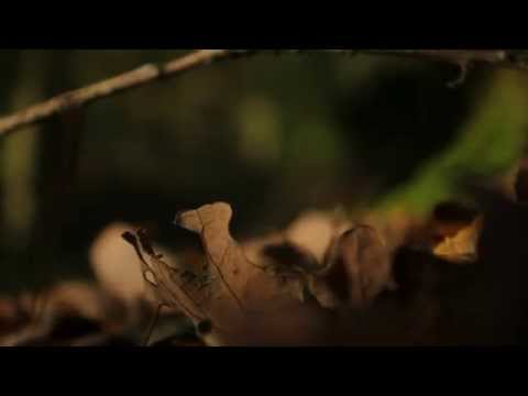 Luko & Janko - Fakty ako zbrane (remix)