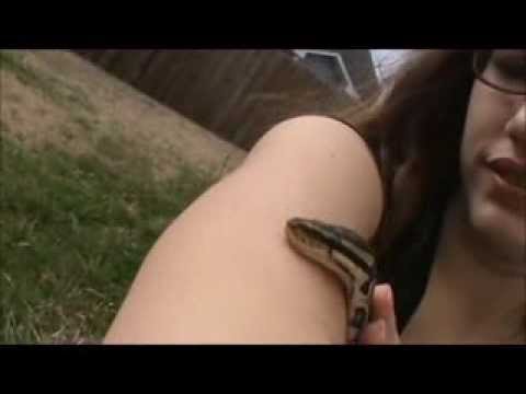 Ball Python playing outside | Sharing Serabi Ep. 3