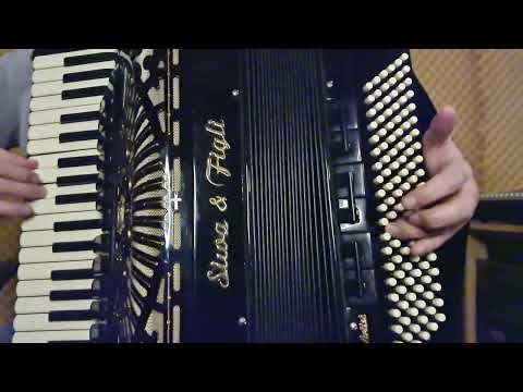 Makedonski pesni(Patriotski)Harmonika-S.Velkov