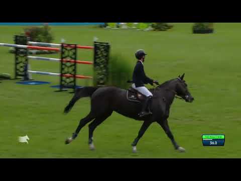 IMPRESS-K van 't KATTENHEYE