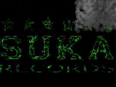 Video Suka Records