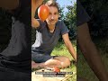 Tamarillo video