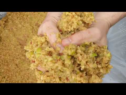 2020 Cider Vintage - wet apple pulp