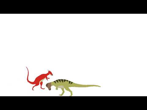 Pachycephalosaurus VS Stygimoloch