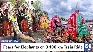 Fears for Elephants on 3,100 km Train Ride