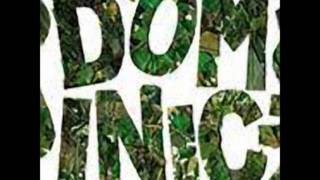 dominic - time to change