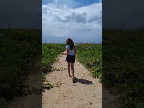 Olha que lugar incrível🌴☀️ #praiasdonordeste #praia #alagoas