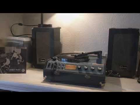 Shadows of Knight: Shake! (45 RPM, vintage vinyl)