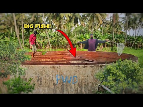 We Found a well Full of Big fishes!😯/JENISH KJ