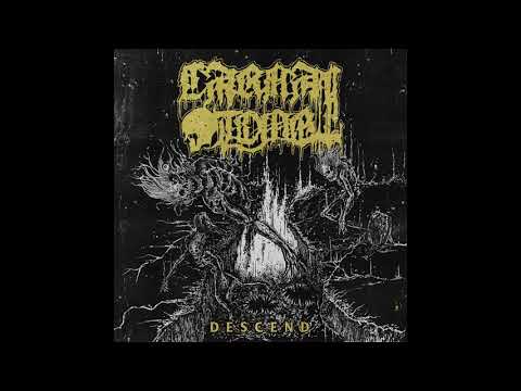 Carnal Tomb - Dormant Cadavers