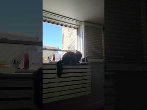 My Tantra ceremonies are meant to heal and Empower you