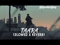 Taara Slowed Reverb Ammy Virk B Praak Jaani