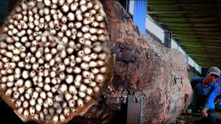 Download lagu Unexpected Surprise When Sawing Tens Millions Dollars Worth of Teak Wood at sawmill mp3 Download lagu Unexpected Surprise When Sawing Tens Millions Dollars Worth of Teak Wood at sawmill mp3