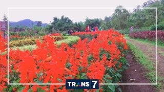 Download lagu LAPTOP SI UNYIL - WISATA ALAM (28/10/16) 3-2 mp3