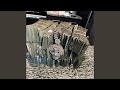 Million Dollar Criminal