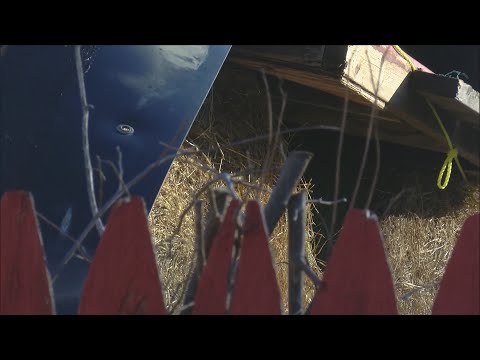 There's a battle over hay bales in Wataga