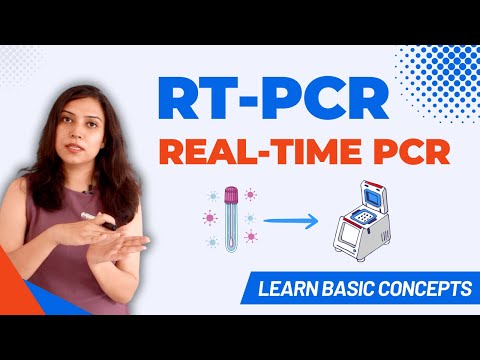 RT - PCR (Real Time PCR) | Quantitative - PCR | qPCR | Basic Principle and Data Analysis