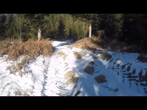 29 01 2017 Oostenrijk