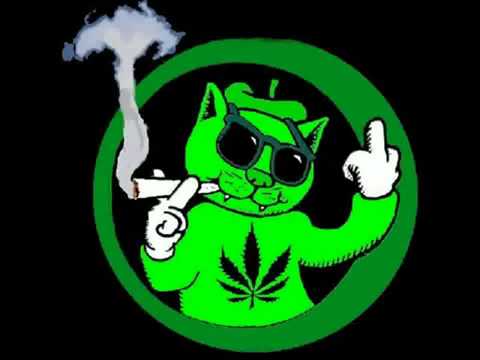 Anil Chawla - Freak Inn (Original Mix)   dj-toph-house-music.flv