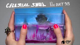 Celestial Shore - "Swimmer's Sinking Feeling"