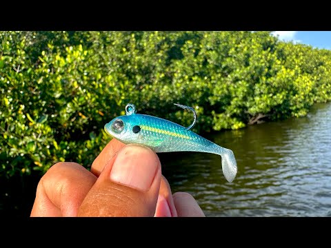Fishing with MINI PLASTIC in the MANGROVES || SNAPPER and SEA BASS.