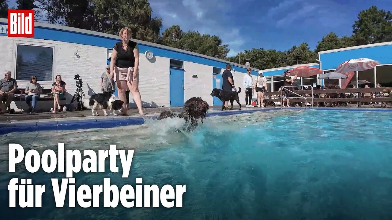 Niedersachsen: Freibäder öffnen für Hunde