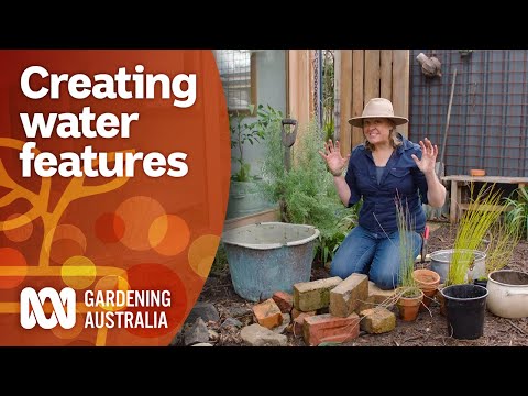 Methods for creating water points for wildlife in your garden | Garden Design | Gardening Australia