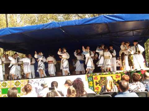 Festival " Ştefan Pătruţ " 2016