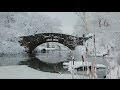 Adult Swim Bumps Winter 2016 17