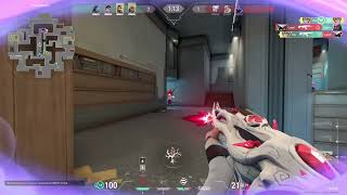 Spotlight Clip