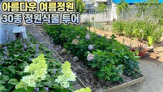 여름정원의 30종 정원식물 투어!! 독일카씨 홍천정원일기7!!