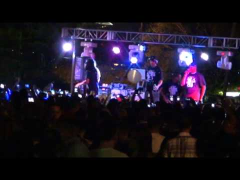 Dragonfly NJ Tego - Bandolero