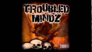 Troubled Mindz - Day In The Life