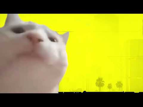 Cat vibing to Rebel Path - Cyberpunk 2077 (Cello ver)