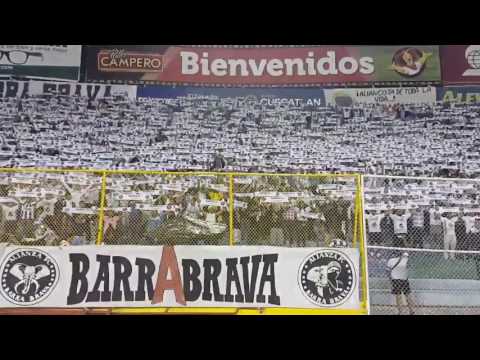 "Aniversario 58 De Alianza FC / Barra Brava & Ultra Blanca" Barra: La Ultra Blanca y Barra Brava 96 • Club: Alianza