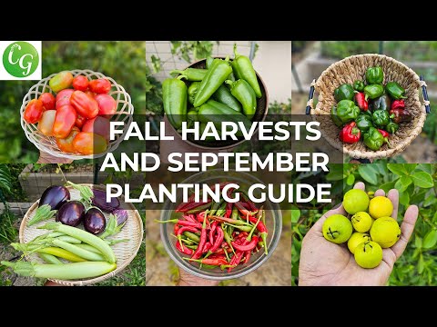 September Garden & Gardening Tips: Dive into Fall Harvests & Expert Planting Techniques