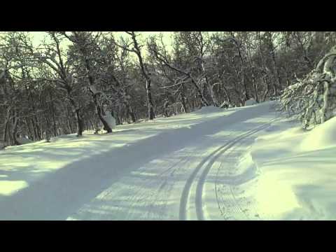 Tänndalen, Sweden 2011