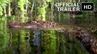 HURRICANE ON THE BAYOU Official Movie Trailer HD -- IMAX film narrated by Meryl Streep