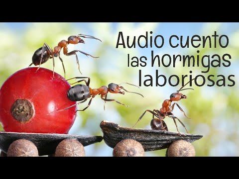 download lagu mp3 mp4 La Hormiga Laboriosa, download mp3 La Hormiga Laboriosa free download mp3, download mp3 La Hormiga Laboriosa