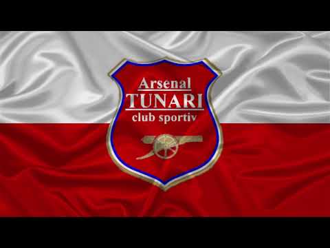 IMN ARSENAL TUNARI