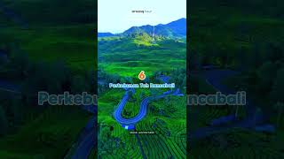 Download lagu Ciwidey Bandung Destination One Direction #ciwideytourism #ciwideybandung #bandungtourism mp3