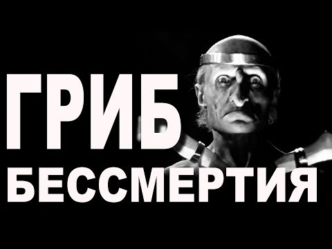 Гриб бессмертия