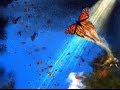 Salar Aghili - Poem of the Butterflies - Farid al ...