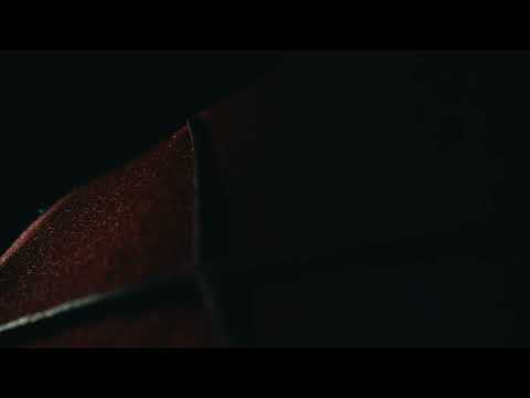 스파이더맨: 브랜드 뉴 데이