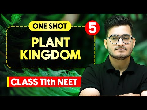 PLANT KINGDOM - Complete Chapter in One Video || Concepts+PYQs || Class 11th NEET