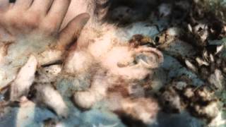 Sivu | Better Man Than He